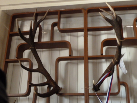 polovnicka vystava Brezno 2011