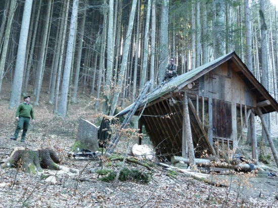 oprava senika po vetroch