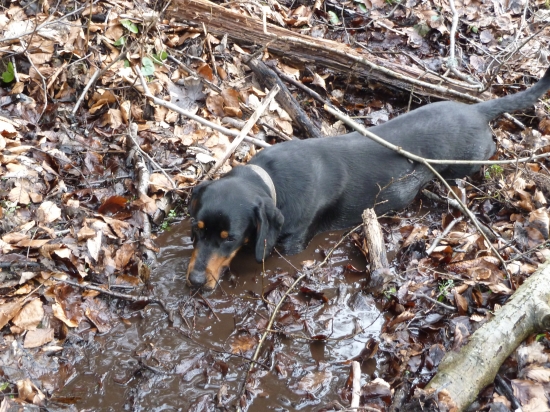 po dureni sa treba schladit