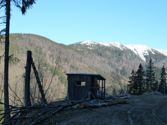 bol osadeny ale uz neni neviem co sa stalo