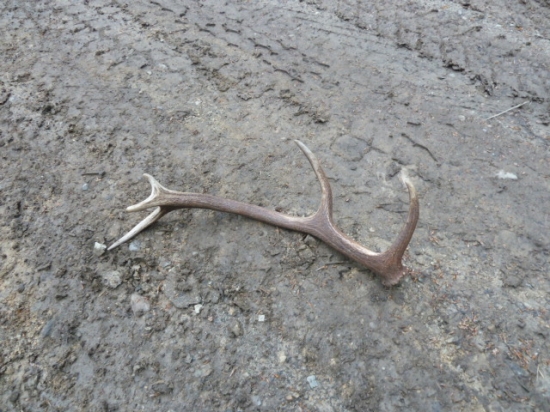 krpacovo skoda ze nie moj.