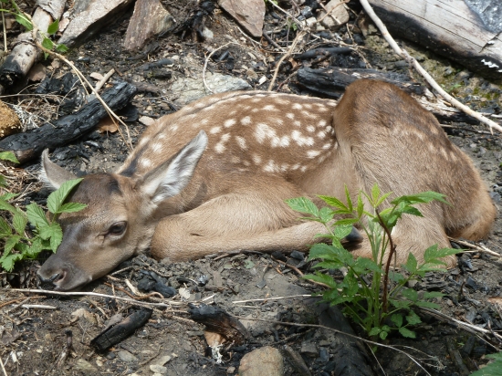 novy zivot a pre mna velmi krasny zazitok.