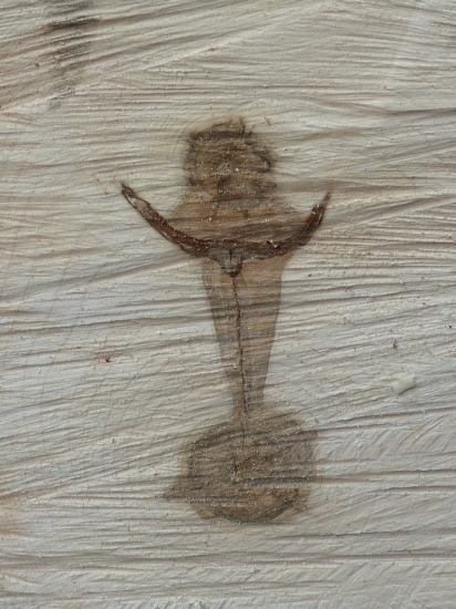 po odrezani klata z javora sa objavila zena z vyhrnutou suknou.Umenie prirody.