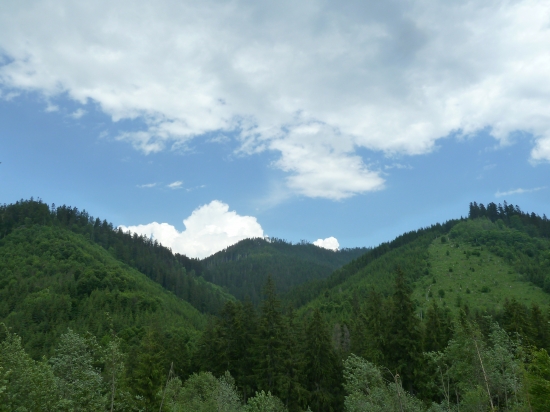 Maluzina.