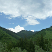 Maluzina.