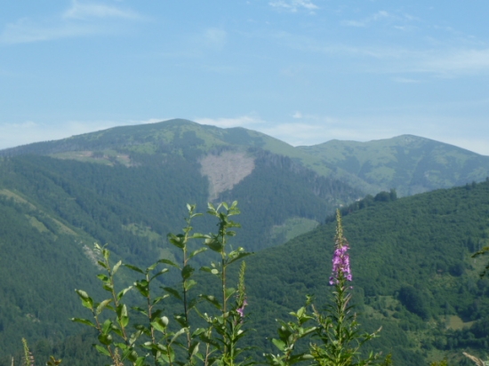 N.Tatry juh gapel.
