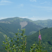 N.Tatry juh gapel.