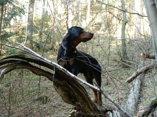 nic nevidim necitim to je den.