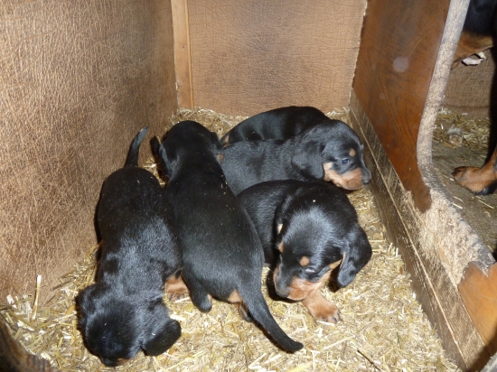 mame uz skoro styri tyzdne.