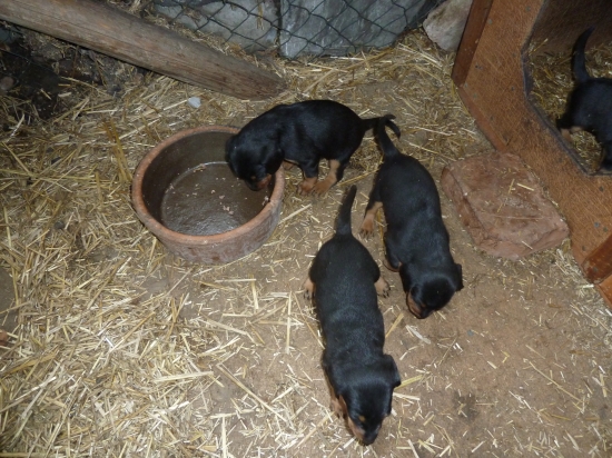 mame uz po ranajkach.