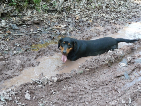 este ked bolo horuce.