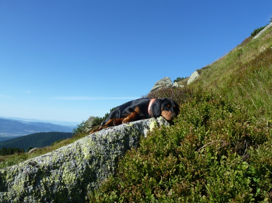 Imo najedol sa cucoriedok a zaspal.