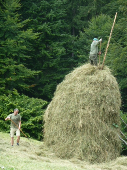 trochu nam to padalo.