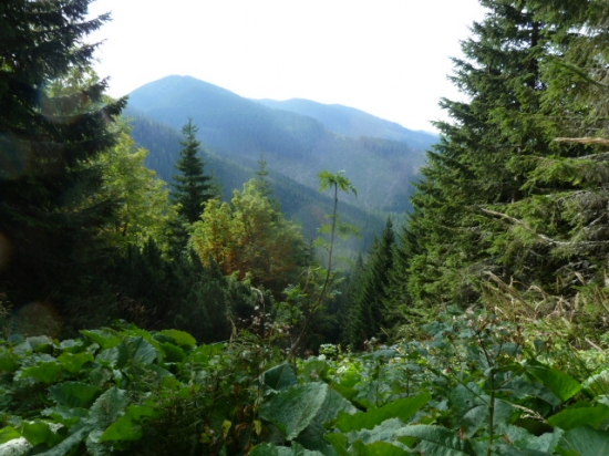 pohlad na babu N.Tatry juh.