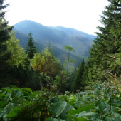 pohlad na babu N.Tatry juh.
