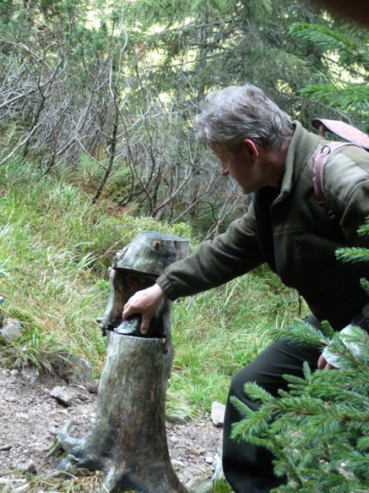 dolozenie soli pre zver.