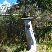 solisko.