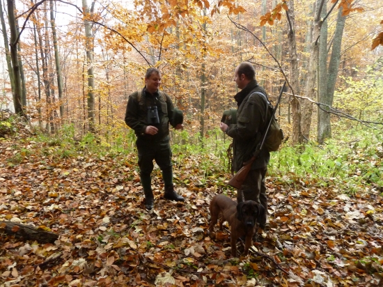 pred stopou. Mytnik F.S.(parola-pes cit.)