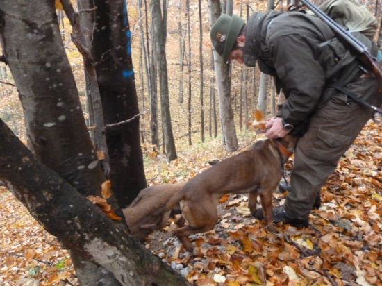 stopa ukoncena.(parola-pes cit.)