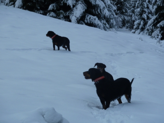 co dalej prvy sviatok vianocny.