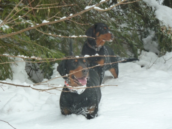 stale je toho snehu viac.