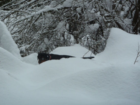 uz ma skoro ani nevidno.