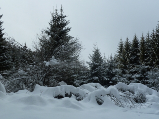 perinbaba je stedra tuto zimu.