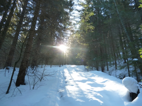 moj oblubeny chodnik.