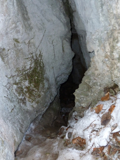 liscia alebo jazvecia nora.