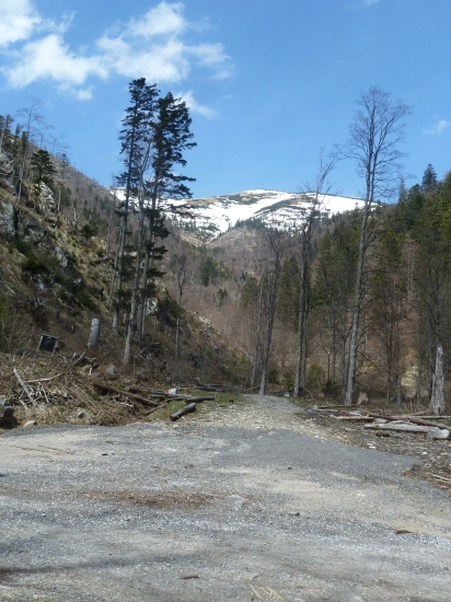 v mlynej doline pod stef.chatou.