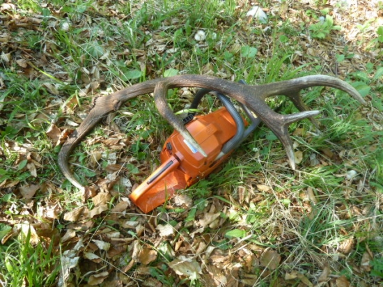 kolegov. ( ja musim ist k ocnemu).