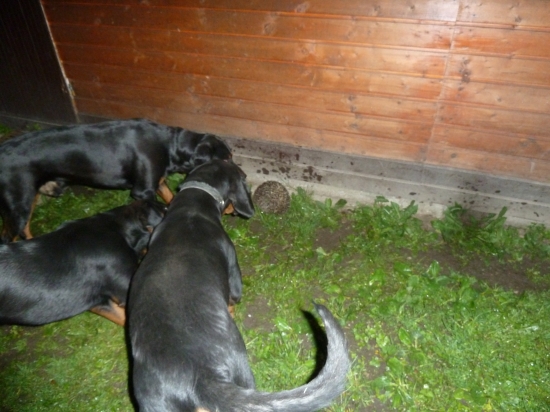 a bolo po spanku dve hodiny rano.