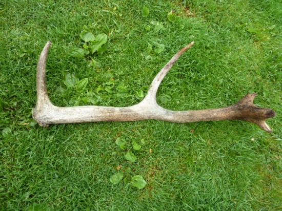 stary ale potesil a moj konecne.