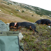 N.Tatry(prisla unava)