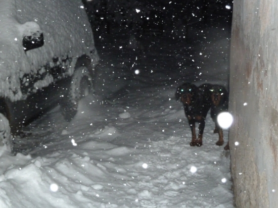 tu sme este sme nezapadli.