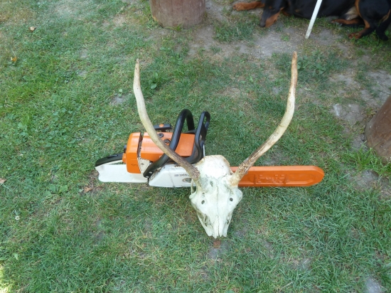 vcera v praci nalez spicak.