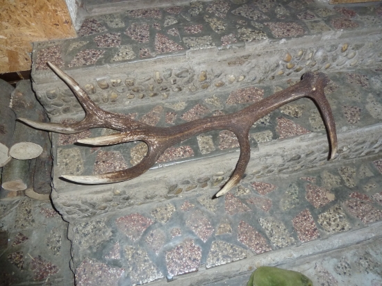 kolegov tri dni do zadu v praci.