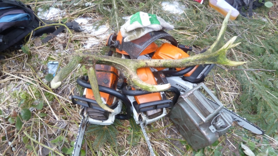 starsi ale potesil dnes v hore.