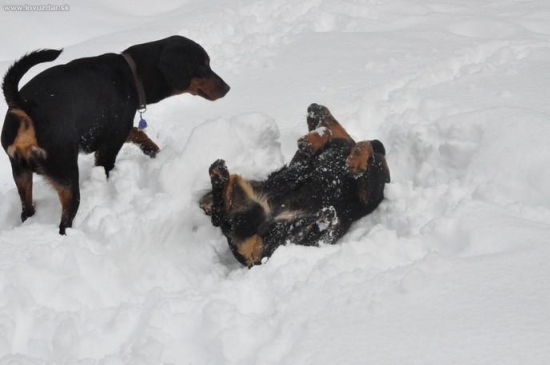 aj takto sa vedia radovat