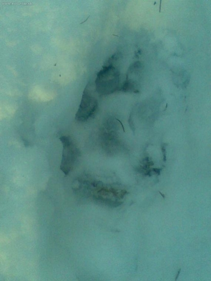 moze to byt len;;;;;;stopa