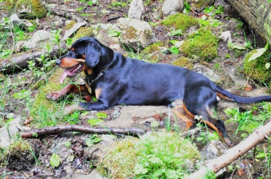 musel sa s chladit po tazkom stopovani.