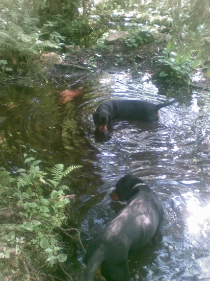 ta horucava este ze mame taketo miesta na schladenie