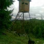 novy posed stodolky