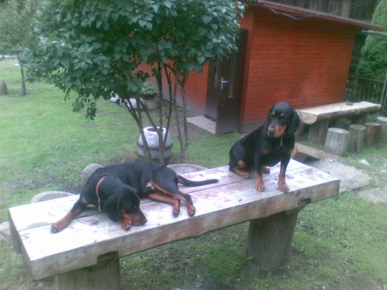 aj na stole sa da odychovat