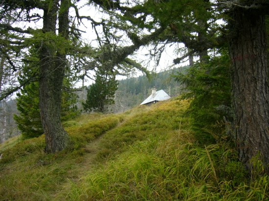 chodnik do polovnickej chatky