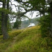 chodnik do polovnickej chatky