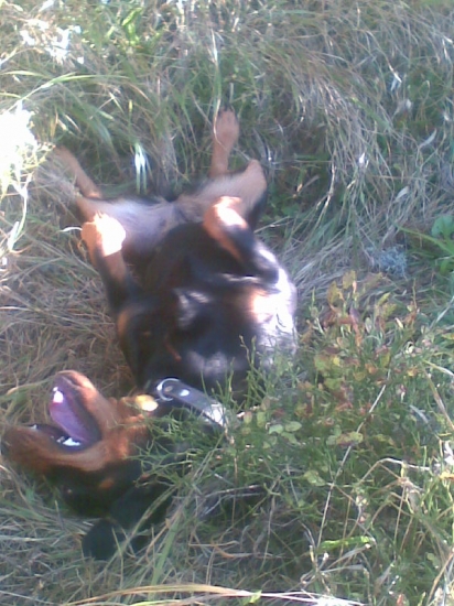 takto odychovala pod gaplom vo vysokej trave.