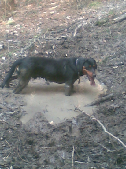 Imo vycerpany po nahanacke ciernej