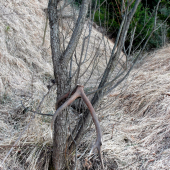 Desatorák - marcová ozdoba.