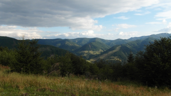 Nedeľná prechádzka.